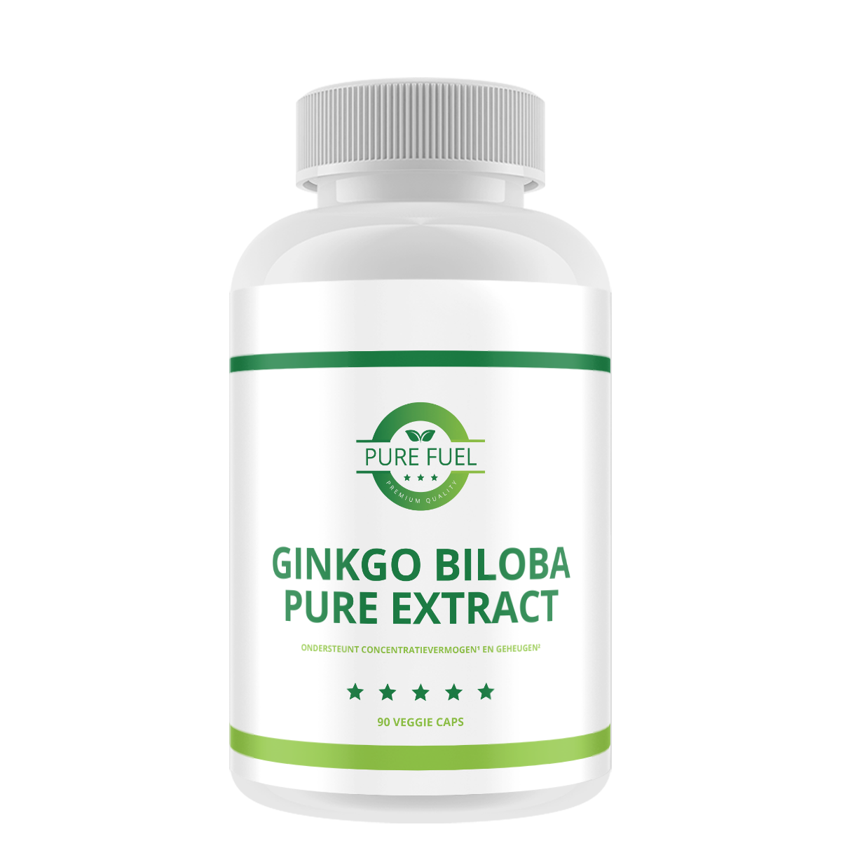 Ginkgo Biloba Pure Extract