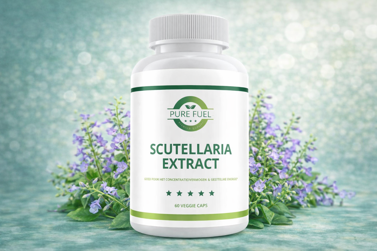 Scutellaria Extract